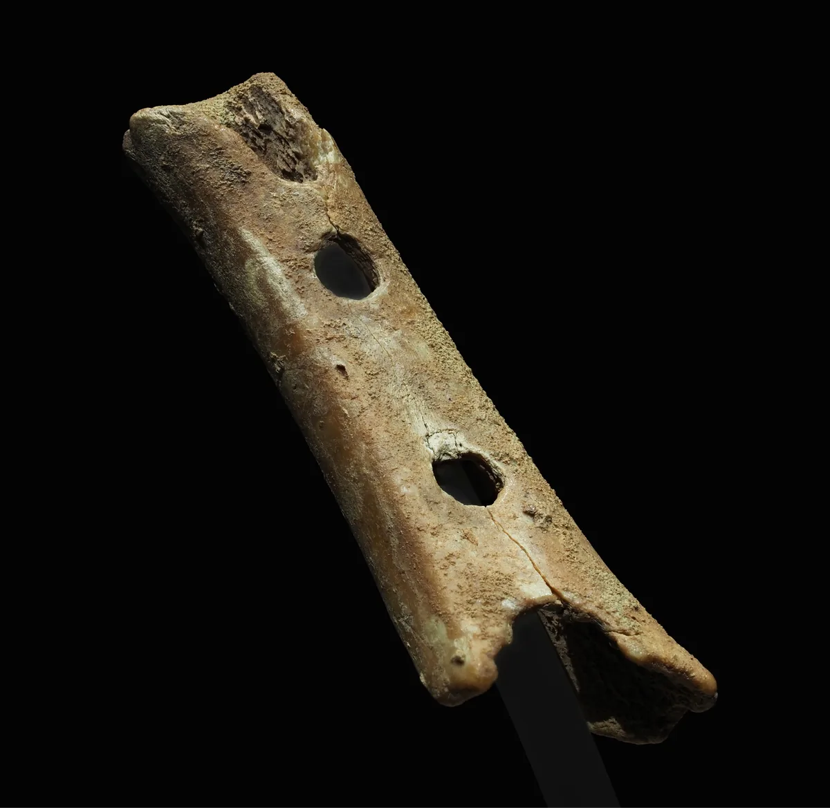 A primitive bone instrument as an early tool for shaping sound